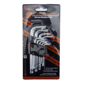 Nunc congue dui nec...